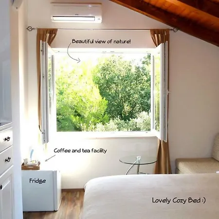 & In Apartman Cavtat