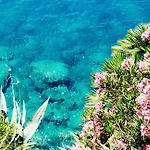 & In * Cavtat