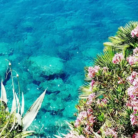 & In * Cavtat